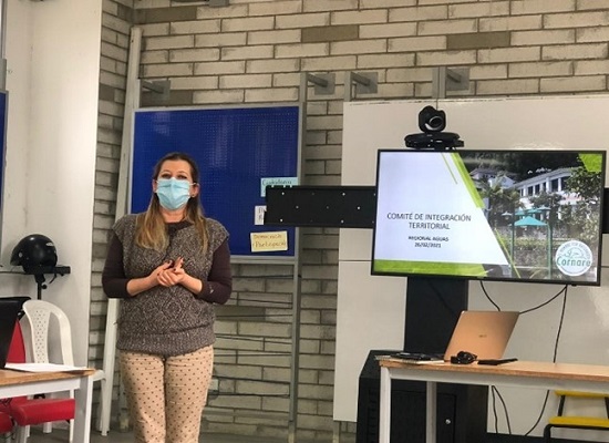 Comite de Integracion Territorial