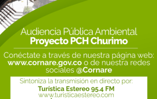 Audiencia Publica