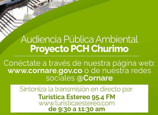 Audiencia Publica