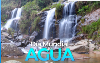 Dia Mundial del Agua