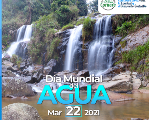 Dia Mundial del Agua
