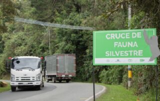 Cruce de fauna silvestre
