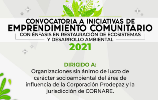 Convocatoria ONG