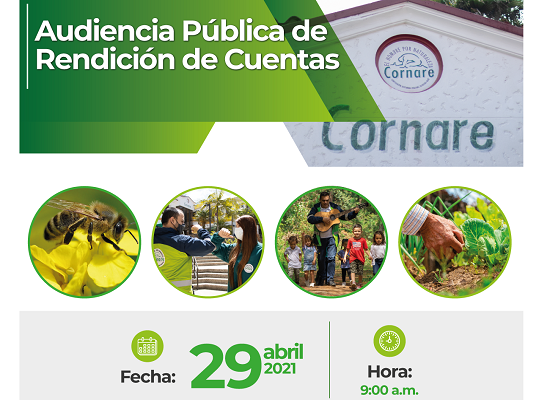 Banner Audiencia Publica