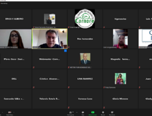 Cornare, Gobernación de Antioquia, Prodepaz y las ONG unidos por la protección del medio ambiente