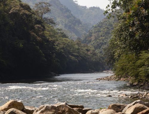 Accion Popular Río Samaná Norte  05001233300020260158300