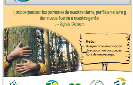 Ambientalina bosques