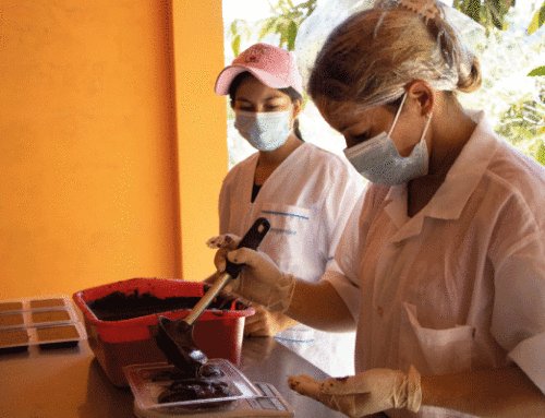 Cacaoteros de El Prodigio se fortalecen durante la implementación del Plan de Manejo del DRMI Bosques, Mármoles y Pantágoras