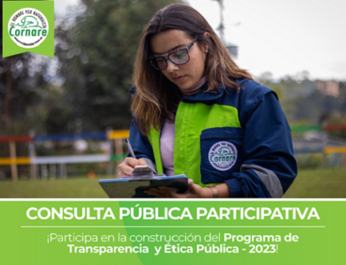 CONSULTA PUBLICA PARTICIPATIVA – PROGRAMA DE TRANSPARENCIA Y ÉTICA PÚBLICA 2023