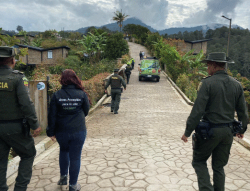 Autoridades realizan allanamiento a vivienda de extranjero señalado de tenencia ilegal de fauna silvestre