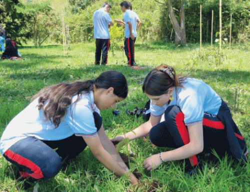 Con 74 jóvenes “Jaguares” de Rionegro, EPM y Cornare realizaron siembra de 320 árboles