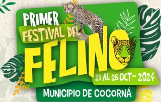 Felino