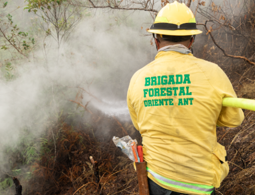 ¡Qué orgullo! En la región Cornare ahora contamos con una Brigada Forestal certificada