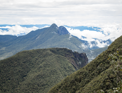 Grupo Corona ejecutará el primer proyecto de Obras por Impuestos con enfoque ambiental en la jurisdicción Cornare