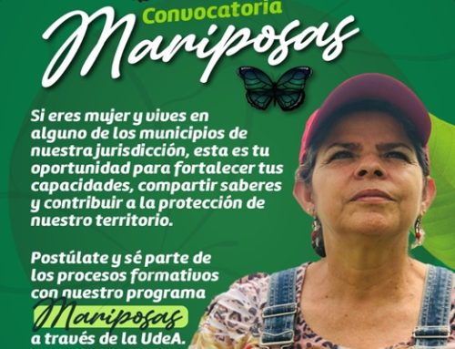 Convocatoria Mariposas