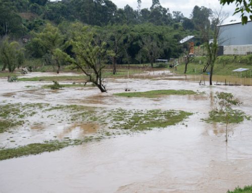 Obras y monitoreo fortalecen la gestión del riesgo ante la temporada de lluvias en la región Cornare