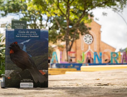 Cornare e Isagen lanzan guía de aves de las áreas protegidas RFPR San Lorenzo y Punchiná