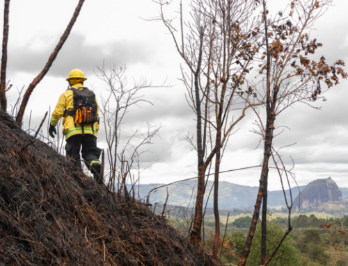 Cornare emite alerta para fortalecer acciones de prevención y mitigación frente al fenómeno de El Niño 2026