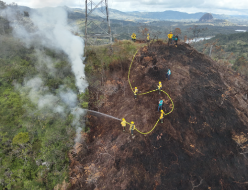 Fenómeno de El Niño ya deja 23 incendios de cobertura vegetal en la región Cornare