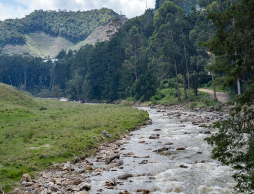 Ante el fenómeno de El Niño, Medellín y Cornare firman convenio por $5.000 millones para proteger las fuentes que abastecen de agua a la ciudad