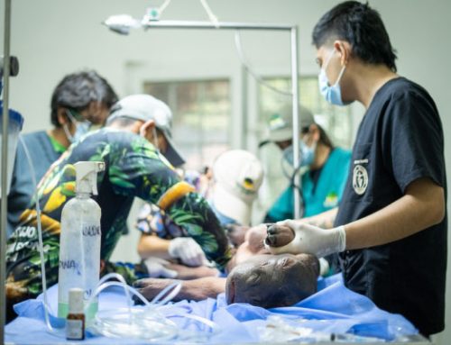 Un hipopótamo recién nacido fue rescatado tras ser hallado solo y en estado crítico en Puerto Nare