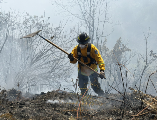 51 incendios de cobertura vegetal afectan cerca de 60 hectáreas en la región Cornare