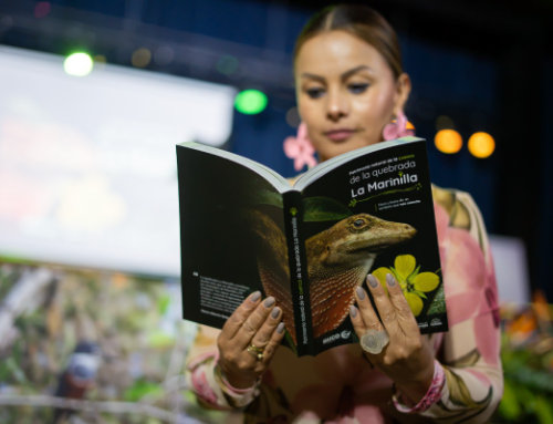 328 especies de flora y fauna quedan registradas en el libro Patrimonio natural de la cuenca de la quebrada La Marinilla